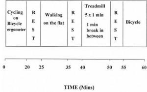 Figure 1. Diagram of the exercise rehabilitation training program.